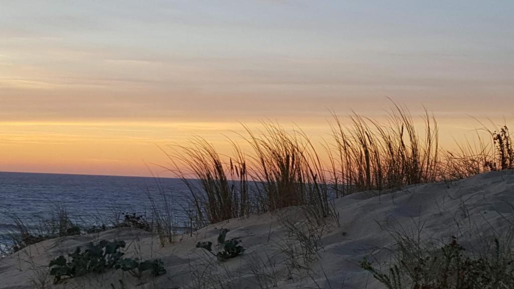 widok na ocean z plaży o zachodzie słońca w obiekcie Guesthouse Évasion w mieście Contis-les-Bains