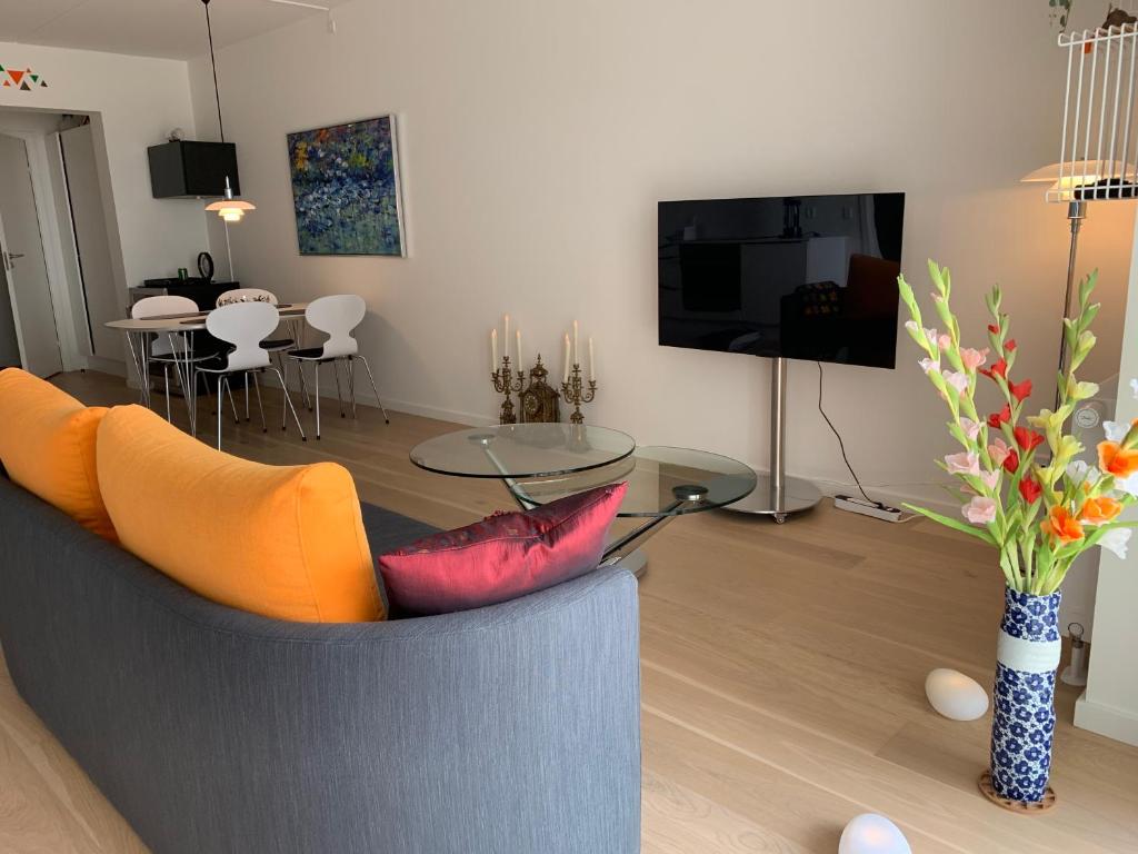TV a/nebo společenská místnost v ubytování Aalborg limfjorden udsigt