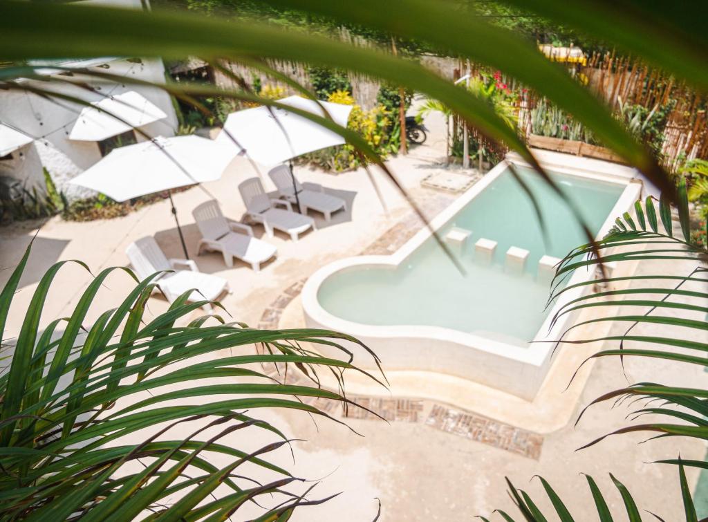 vistas a una piscina con sillas y sombrillas en Arte Sano Hotel - Adults only en Holbox Island