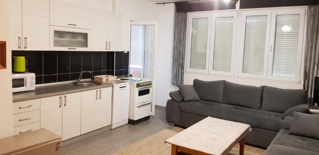 ein Wohnzimmer mit einem Sofa und einer Küche in der Unterkunft STAN 54m2 in Priboj