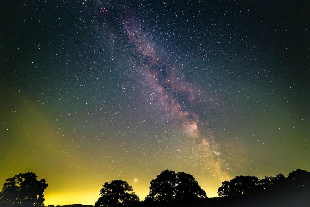 a star filled sky with trees in the foreground at The Annex, Westerlands, Graffham in Graffham