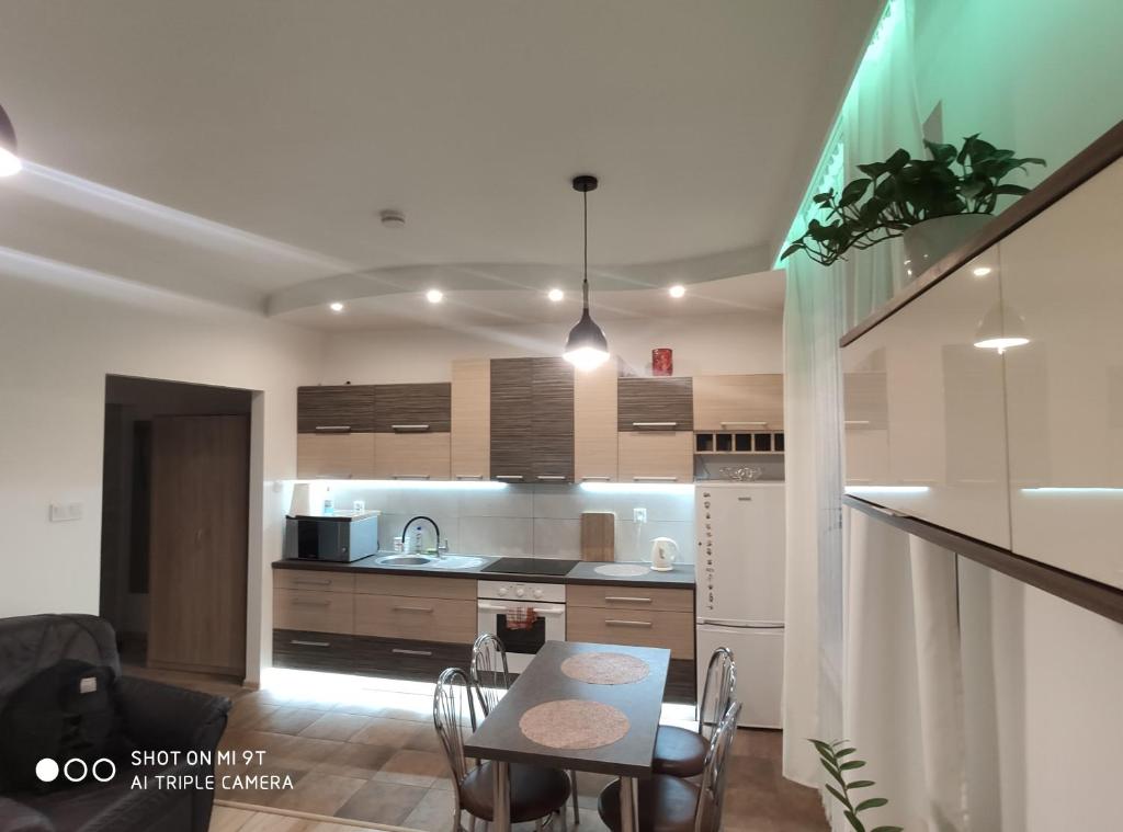 Kuchyň nebo kuchyňský kout v ubytování Apartament Centrum Kościuszko