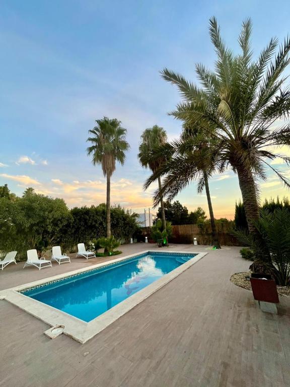Verano azul, Ibiza Town – Updated 2023 Prices