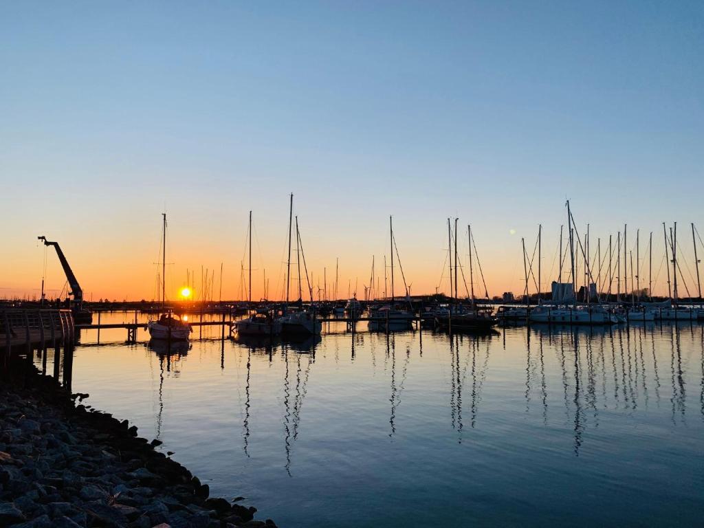 a group of boats docked in a marina at sunset at FeWo-Strandhuus-107-70-Meter-zum-Strand in Burgtiefe auf Fehmarn 