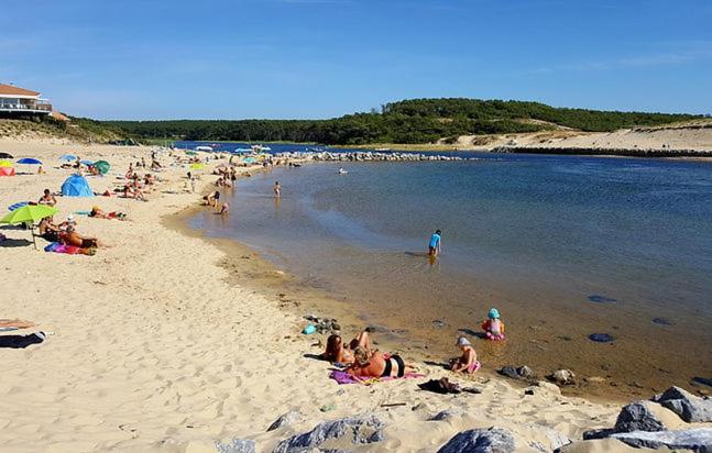Przyroda w pobliżu tej kwatery prywatnej