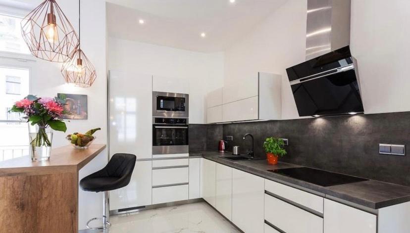 Luxury Apartment on Wenceslas Square - 2