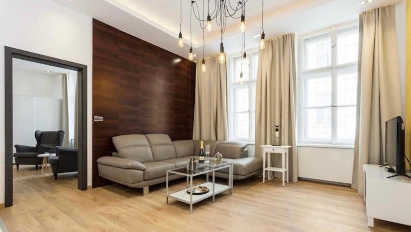 Luxury Apartment on Wenceslas Square - 5