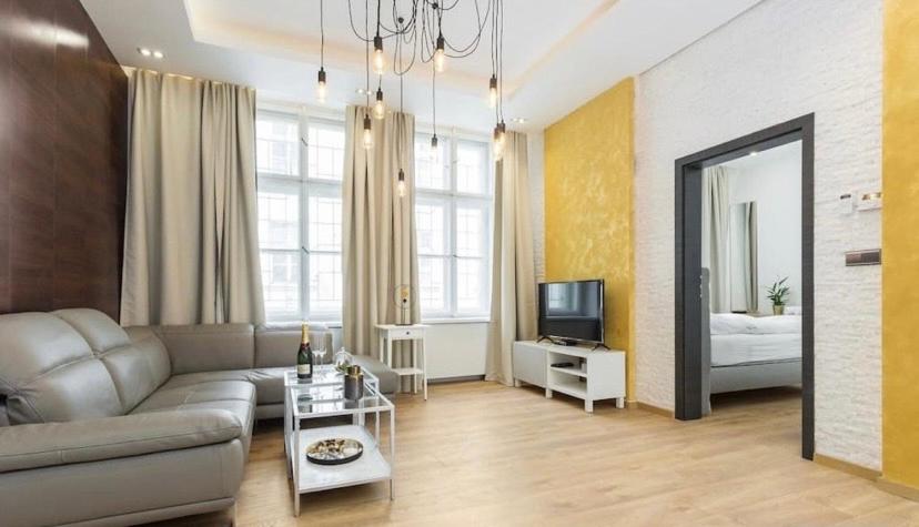 Luxury Apartment on Wenceslas Square - 9