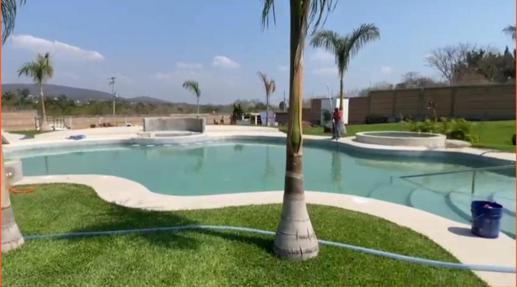 een palmboom in het midden van een zwembad bij Quinta Gran Jardin in Tetecalita