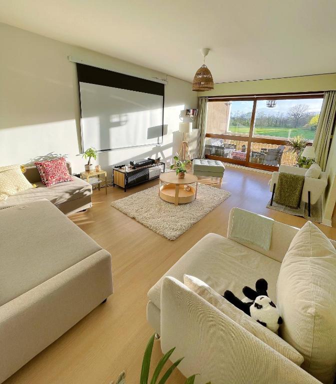 - un salon avec deux canapés dans l'établissement Appartement Très Cosy à 5 min Aéroport Genève, à Ferney-Voltaire