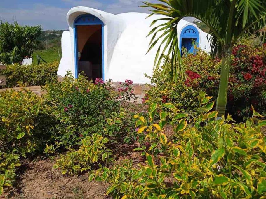 Zahrada ubytování Hermoso Glamping Santorini