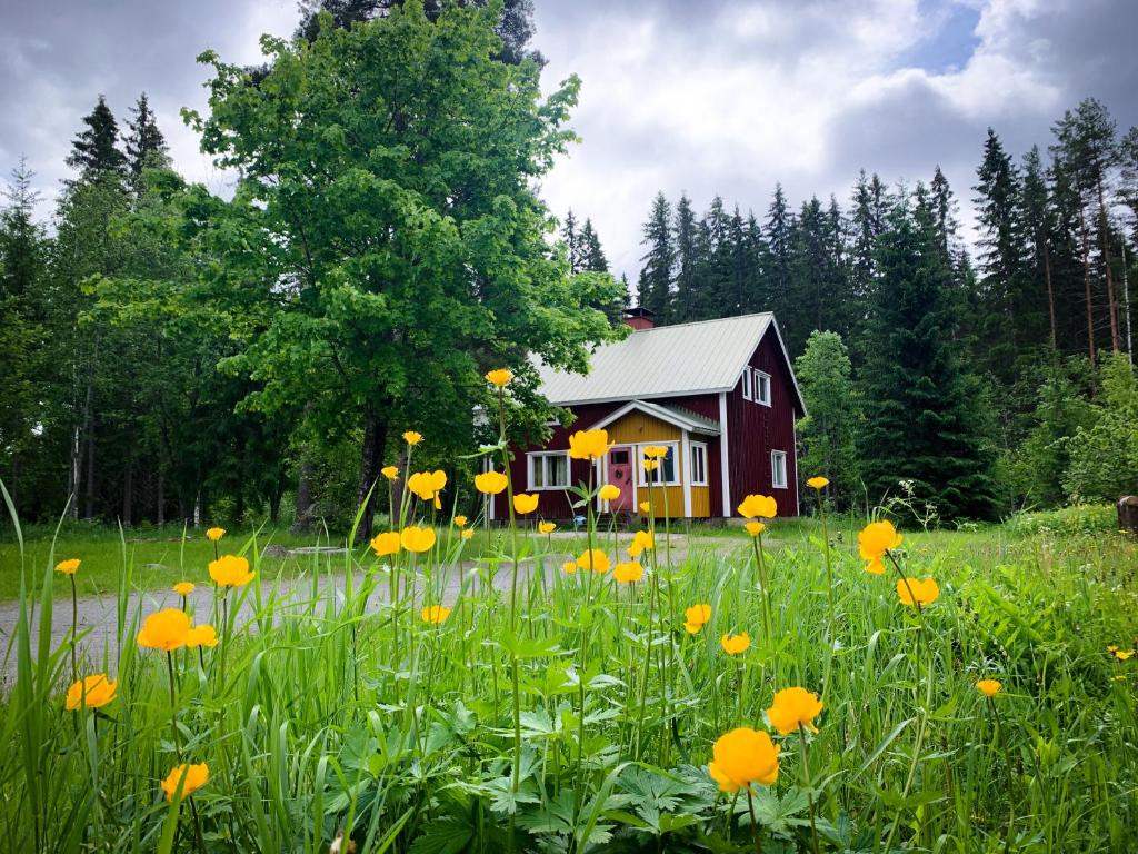 een rood en geel huis in een bloemenveld bij Suojelumetsän sylissä oleva talo lähellä vesistöjä in Keuruu