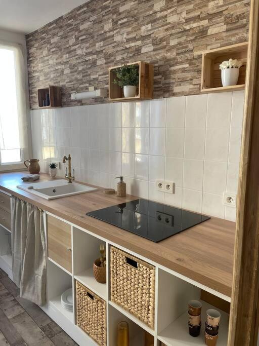 kuchnia ze zlewem i blatem w obiekcie Appartement Un moment d’ÉVAsion w Épernay