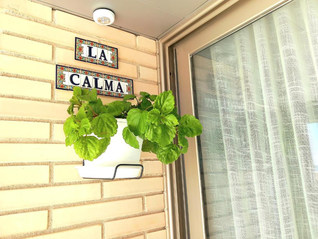 Certifikát, hodnocení, plakát nebo jiný dokument vystavený v ubytování 1ª LÍNEA DE PLAYA. Apartamento: LA CALMA