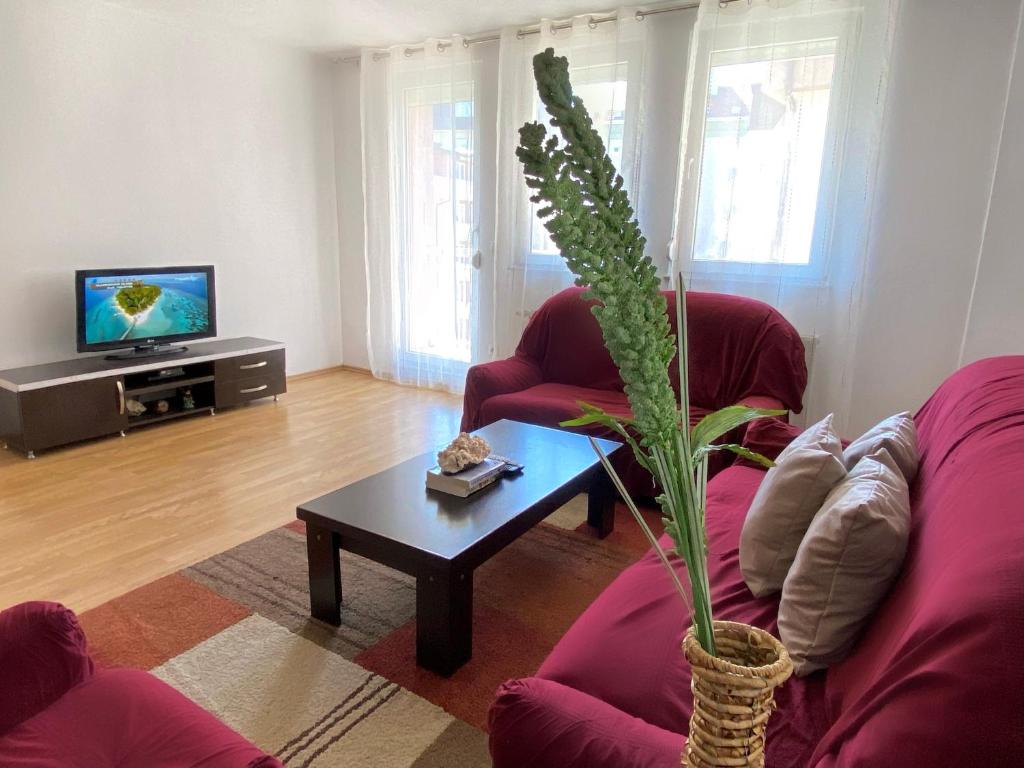 salon z kanapą i stołem z rośliną w obiekcie ZOGU Apartments - City Center w Prisztinie