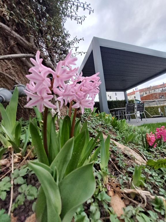 Space Hotel im Campus der JvP Schule - Resim 40