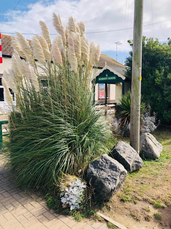 a garden with plants and rocks in front of a building at Cosy holiday home at Romney Sands in New Romney