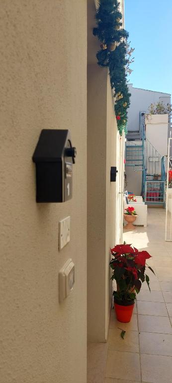 Fotografie z fotogalerie ubytování TRANI LA GRAZIA b&b v destinaci Trani