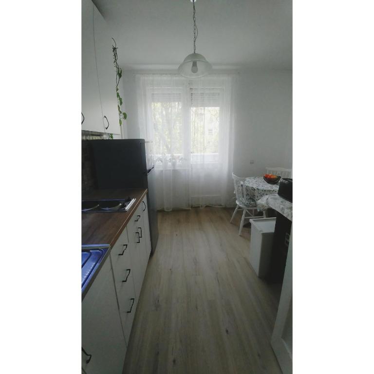 Kuchyň nebo kuchyňský kout v ubytování Kennedy apartment