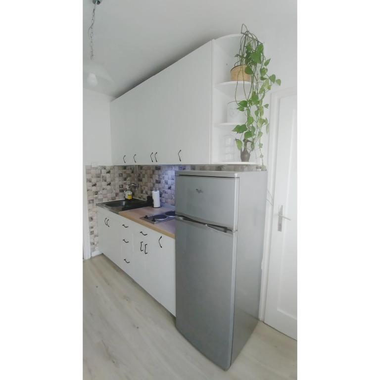 Kuchyň nebo kuchyňský kout v ubytování Kennedy apartment