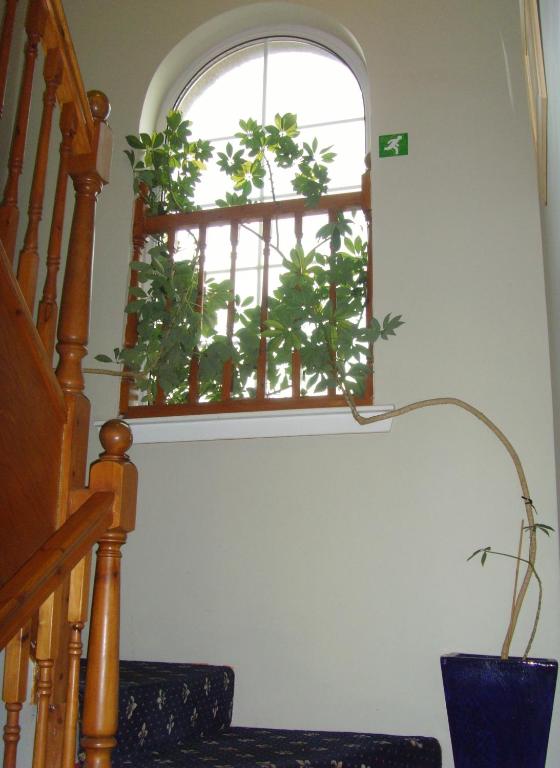 Twin Lions Hotel - Resim 25