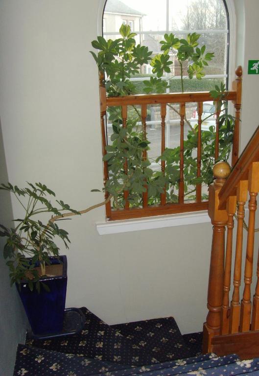 Twin Lions Hotel - Resim 27