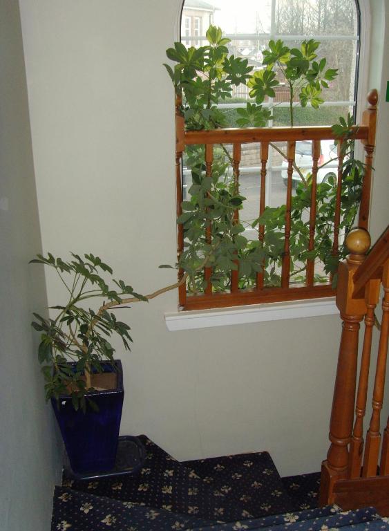 Twin Lions Hotel - Resim 28