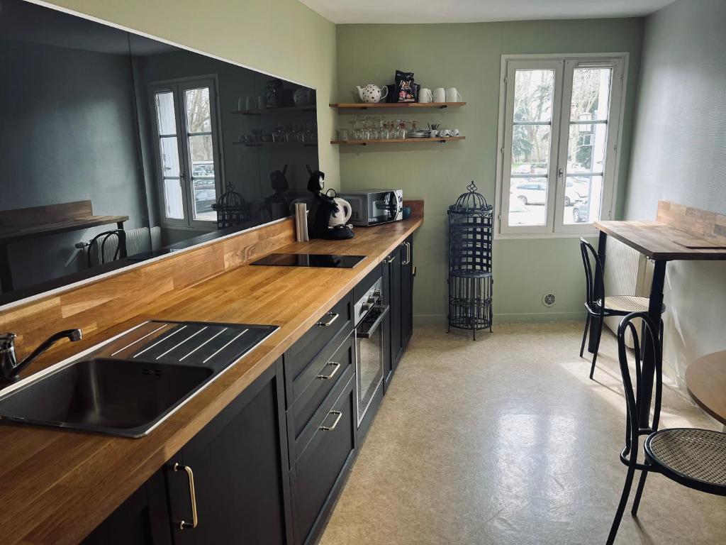 a kitchen with a sink and a counter top at l'appartement de Chinon in Chinon