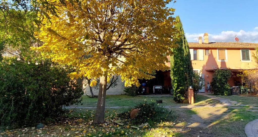 Zahrada ubytování Il Cantuccio