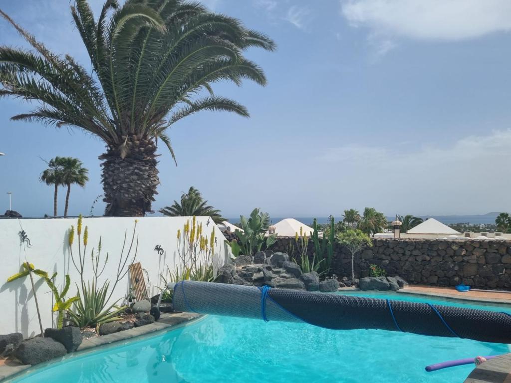 a swimming pool with a palm tree in the background at La Maravilla in Playa Blanca