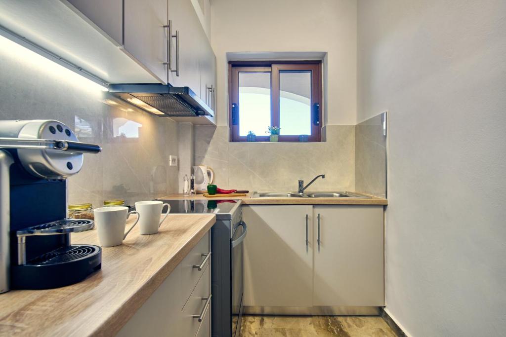 Kuchyň nebo kuchyňský kout v ubytování Maria House