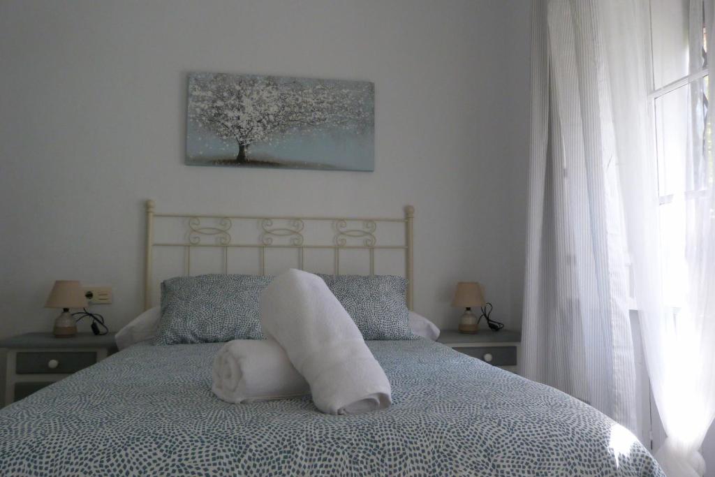 Encantador y luminoso apartamento centro histórico
