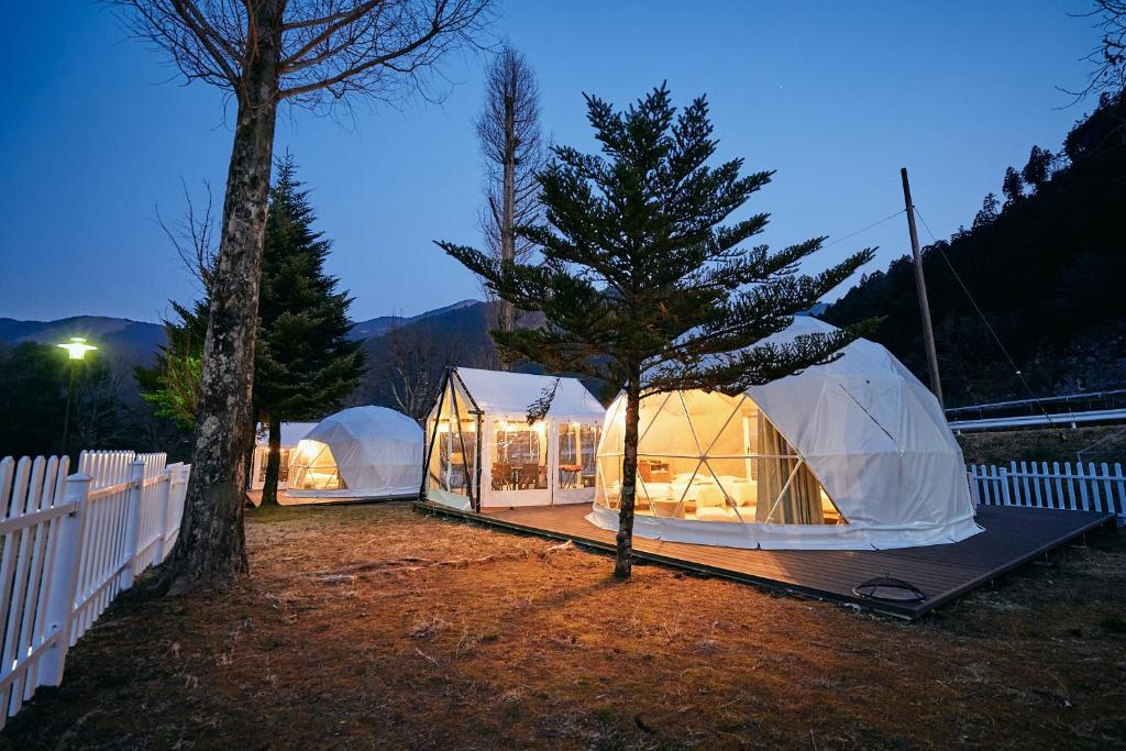 two domed tents in a yard with a tree at glampark Monte Rosa Hyogo in Kamikawa