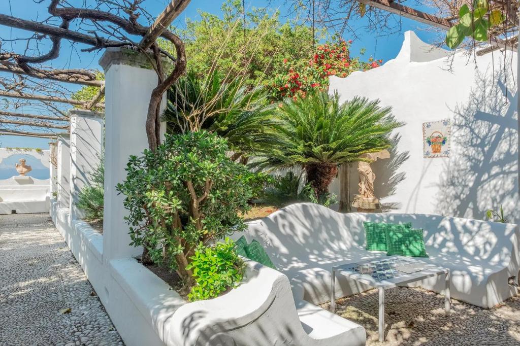 a garden with a bench and trees and plants at Casa Colette in Anacapri