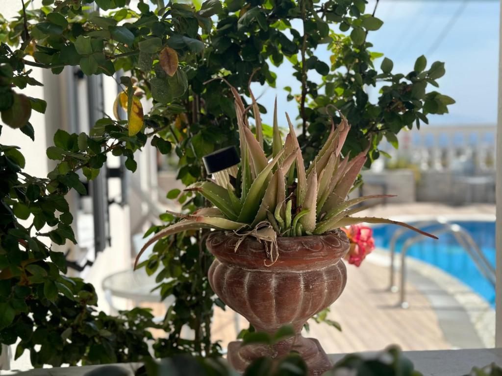 A piscina em ou perto de Phoenix