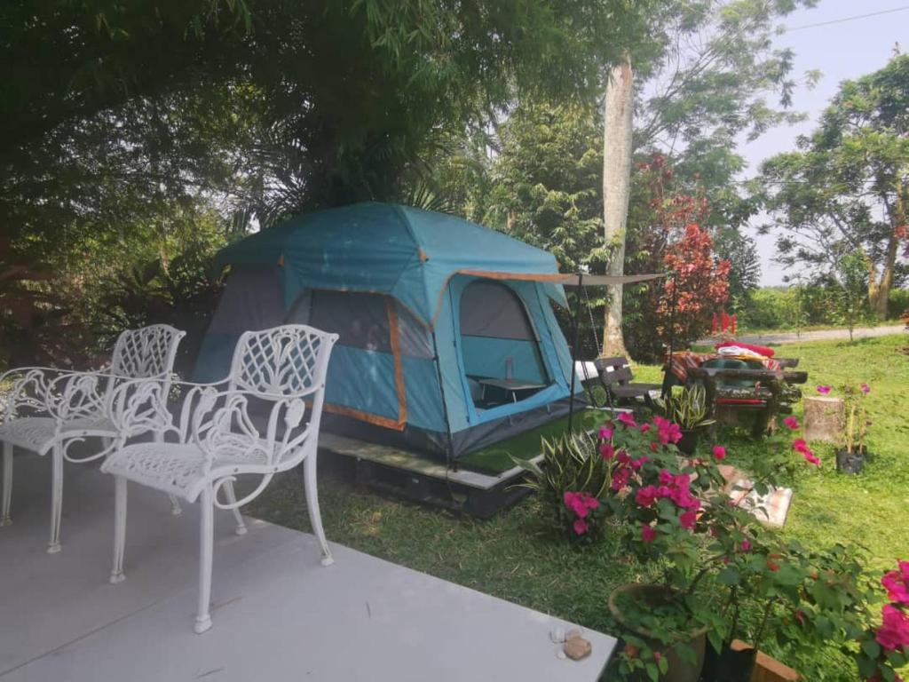 a tent in a yard with chairs and flowers at Eco Resort Beverly Hills in Ipoh