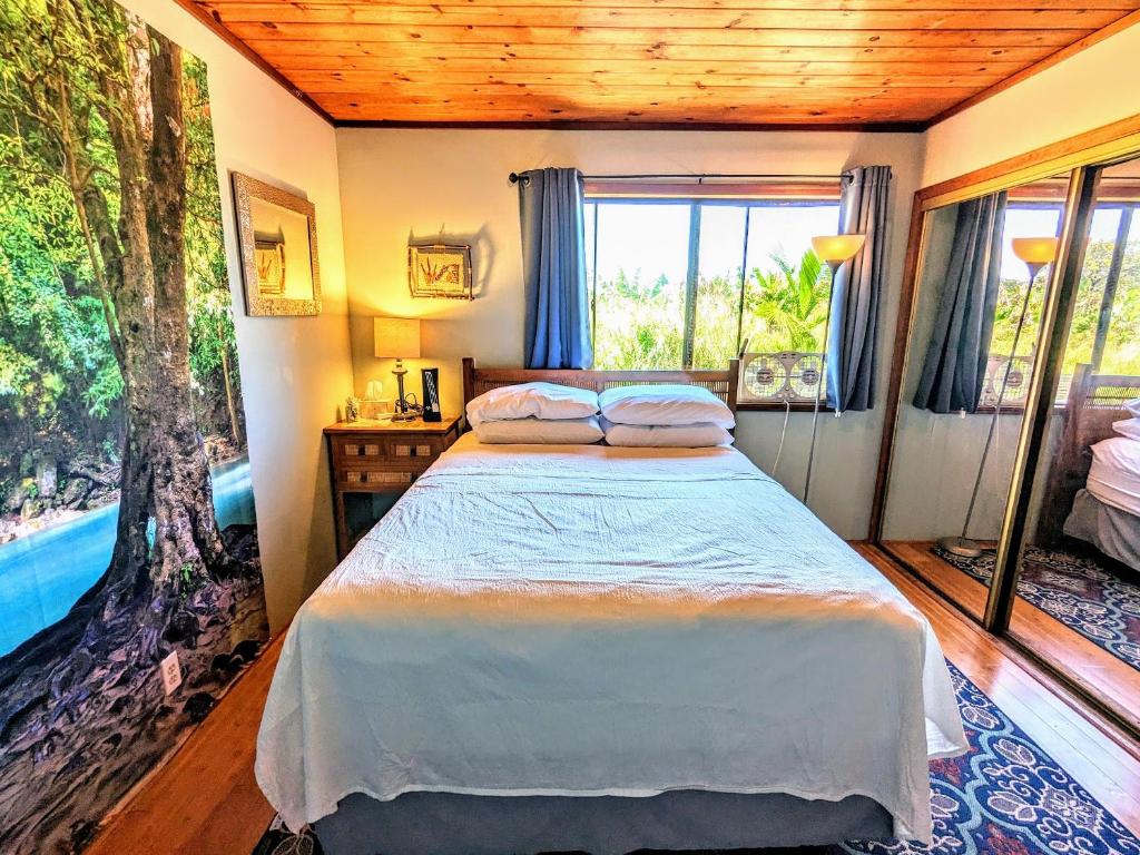 Postel nebo postele na pokoji v ubytování Hamakua Guesthouse