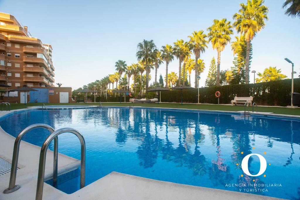une grande piscine avec des palmiers en arrière-plan dans l'établissement HOLIDAY VISTA MAR II, à Oropesa del Mar