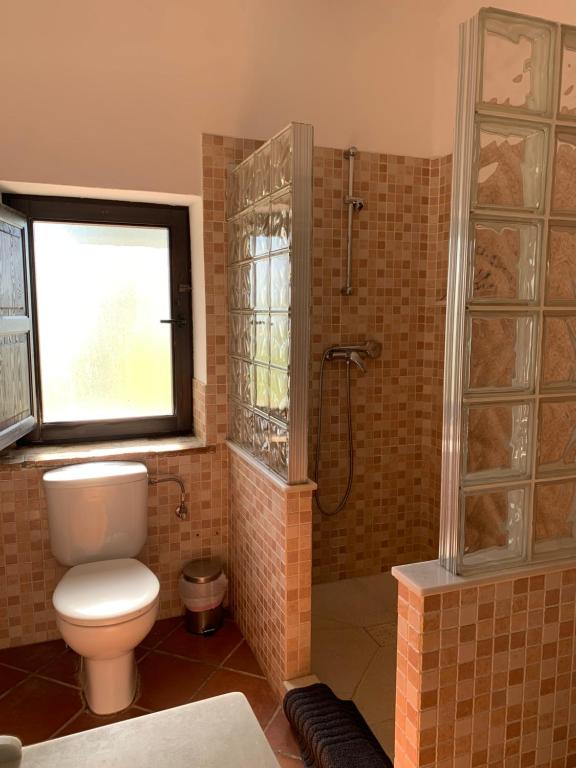 a bathroom with a toilet and a shower at Molino El Mastral in Tarifa