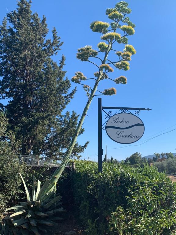 a sign in a field with a plant at Podere Gradisca in Alberese