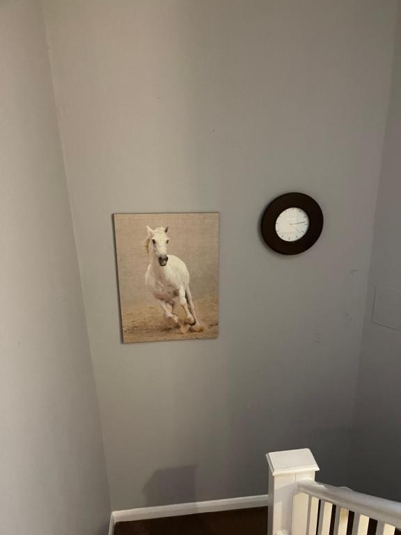 a picture of a white dog hanging on a wall at Southend Lane Suites in Forest Hill