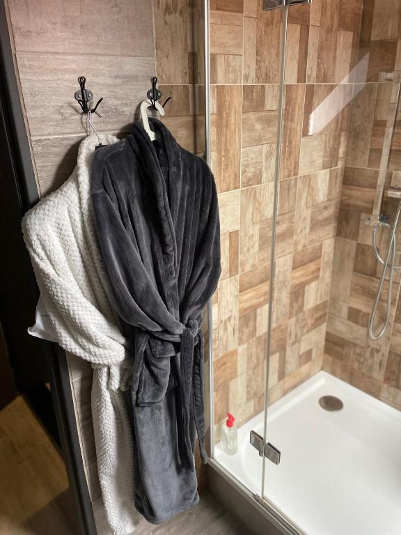 Ubytování U Synagogy Dobříš - 14