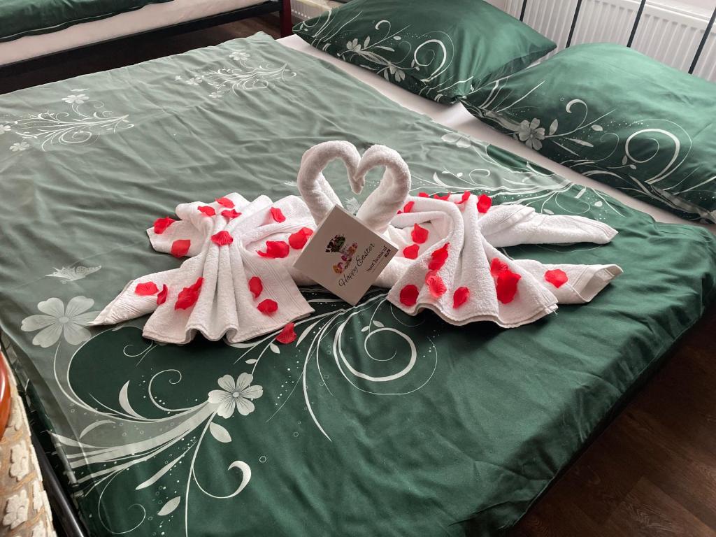 Ubytování U Synagogy Dobříš - 8