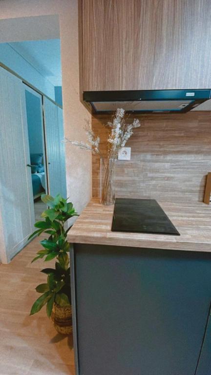 Kuchyň nebo kuchyňský kout v ubytování Marina Zeas Seaside Studio-MarinaQ