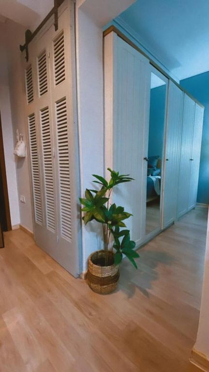 Fotografie z fotogalerie ubytování Marina Zeas Seaside Studio-MarinaQ v destinaci Piraeus