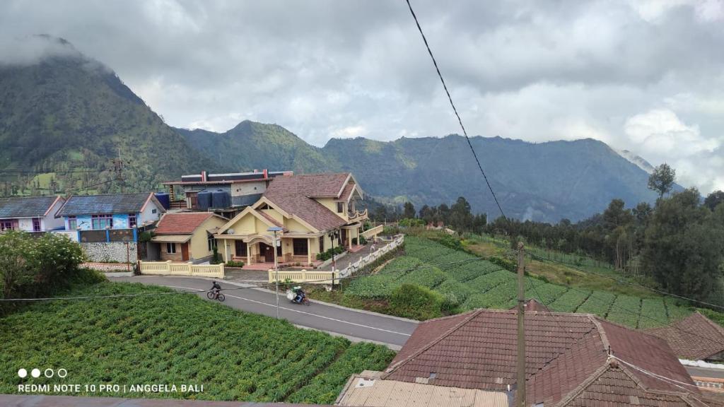 a house on the side of a road next to a mountain at Tengger Indah Bromo by ABM in Bromo
