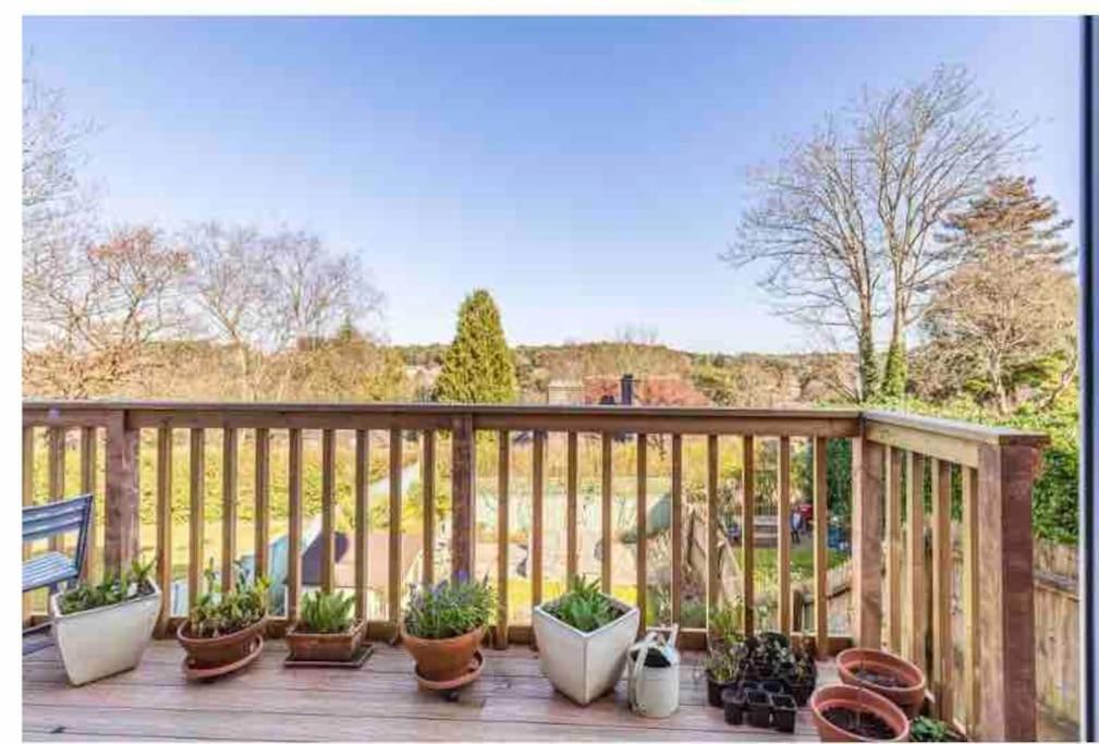 a group of potted plants sitting on a wooden deck at Garden Apartment.Free parking. Child+dog friendly in Bournemouth