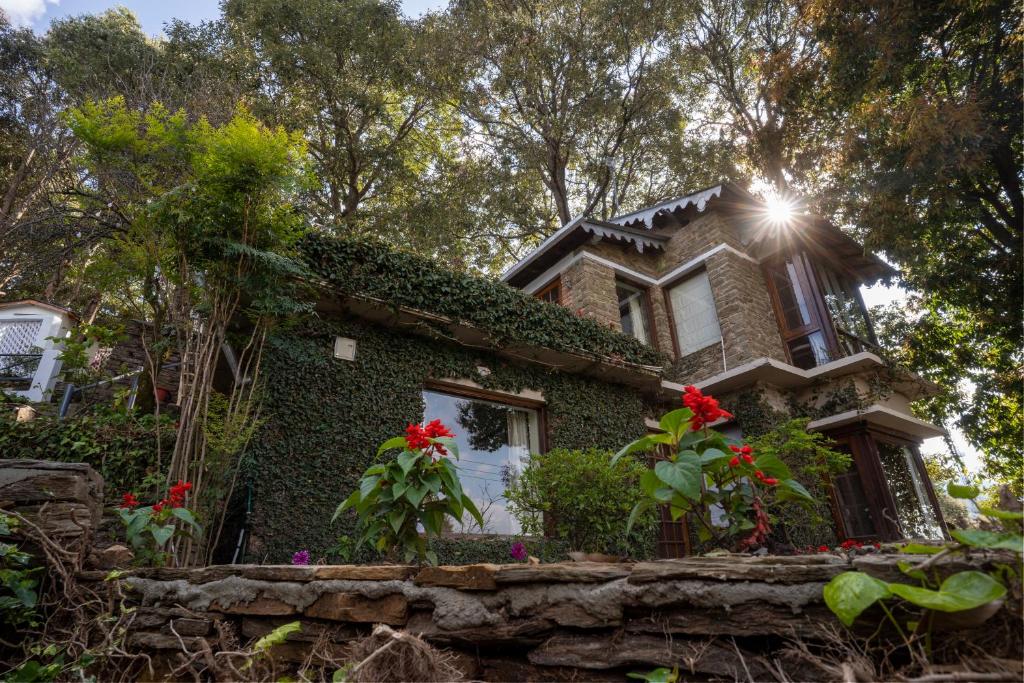 Avenida Himalayan Retreat - Suite
