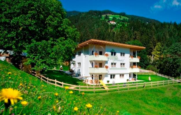 Příroda nedaleko apartmánu