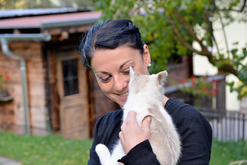 Domácí mazlíčci ubytovaní s hosty v ubytování Wildauhof